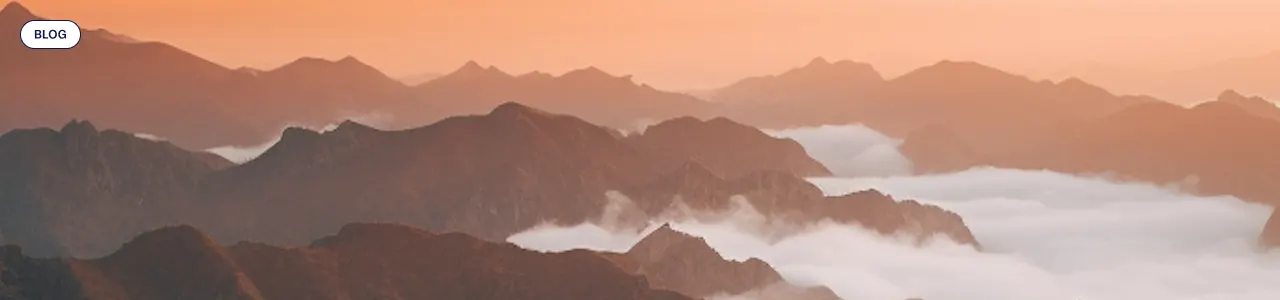 Blog: Predictive Intent Data