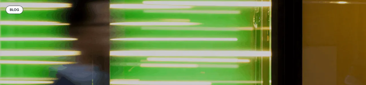 LLM vs technographics