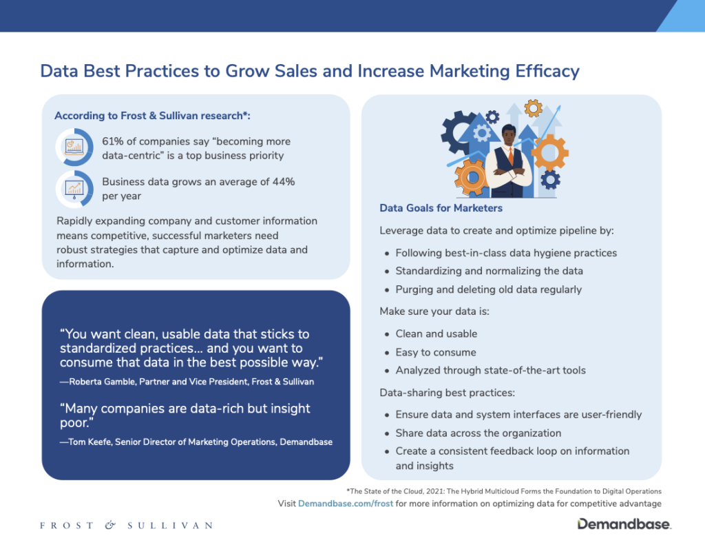 Data Best Practices to Grow Sales and Increase Marketing Efficacy Infographic PNG
